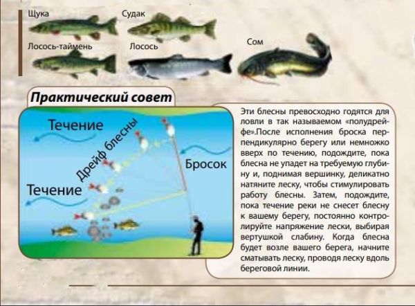 Блешня Spinnex Sima - Коливаюча - Чорний нікель