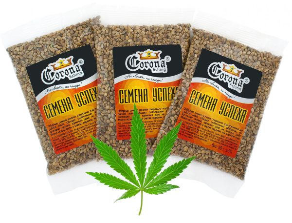 Насіння Успіху - Зерно конопель - Corona Fishing - 80 грам