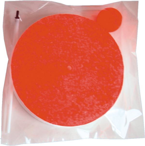 Кружок Dolphin