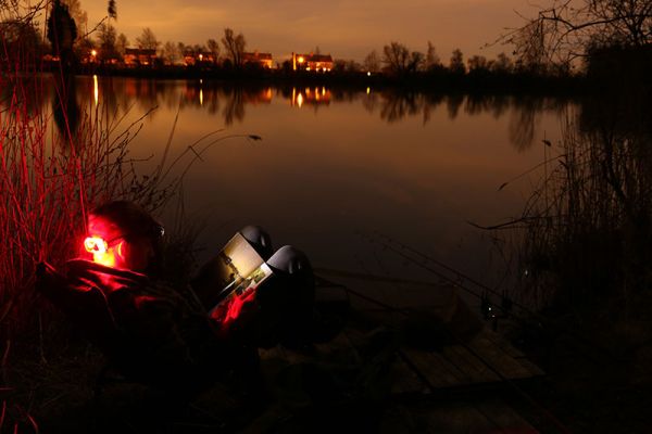 Налобний ліхтар Fox Halo MS250