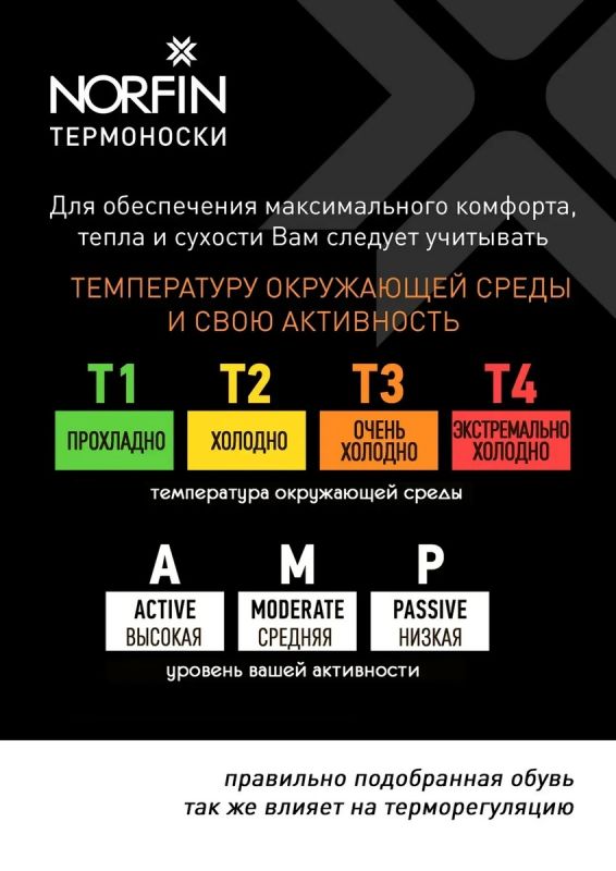 Шкарпетки Norfin T4P Arctic Merino Extreme Crew