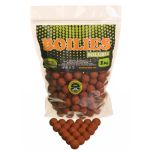 Бойлы Технокарп Soluble - Plum and Shellfish