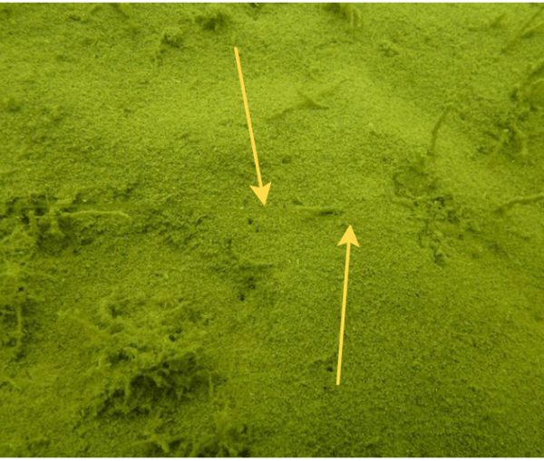 Поводочный материал мягкий флюорокарбоновый Fox Illusion Soft - Hooklink - Trans Khaki - 50 м