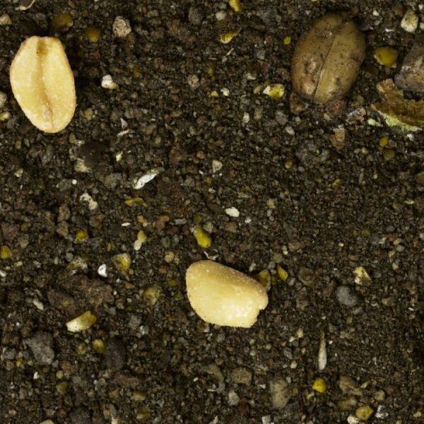 Прикормка Interkrill - Карась-Корица-Карамель - Серия Premium Baits - 1 кг