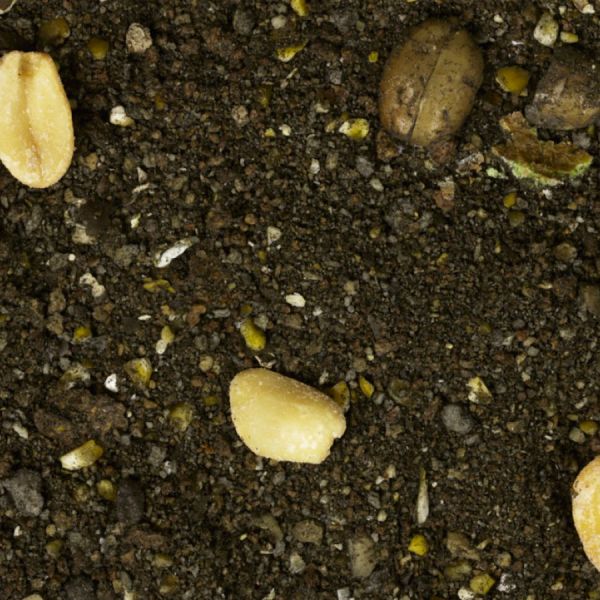 Прикормка Interkrill - Лещ-Апельсин-Розмарин - Серия Premium Baits - 1 кг