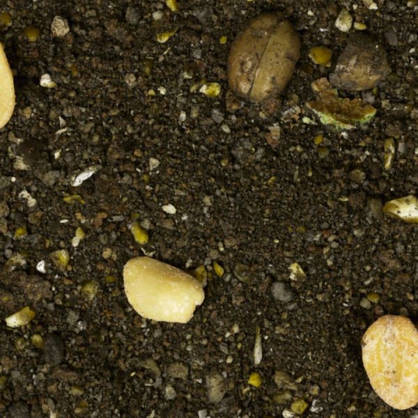 Підгодовування Interkrill - Плотва-Коріандр-Лайм - Серія Premium Baits - 1 кг