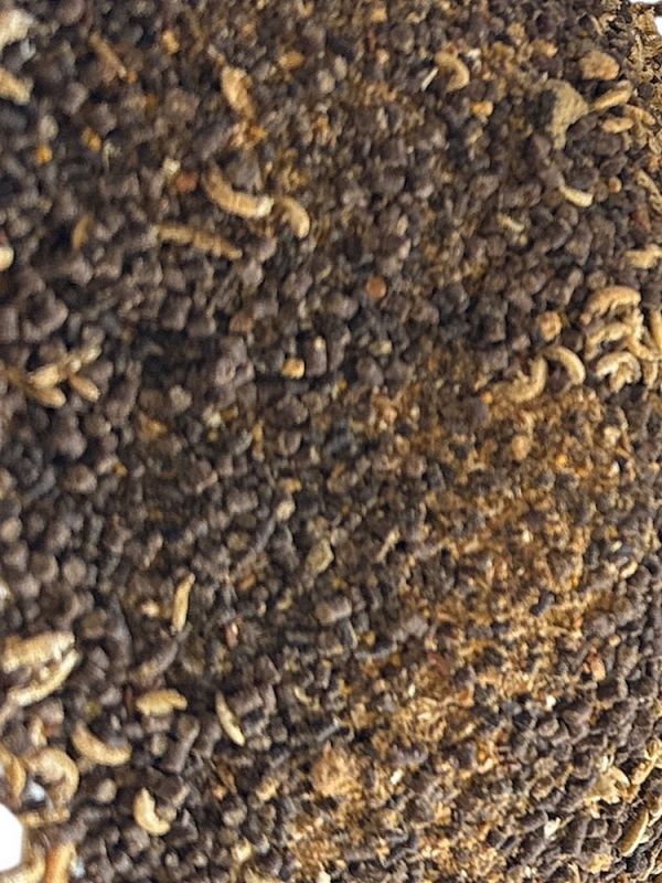 ПВА-Микс RPF - Тигровый Орех - Смесь для ПВА-стиков, ПВА-пакетов, флет-кормушек - 1 кг