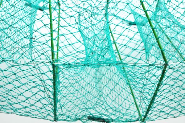 Раколовка Anvi гармошка - В оплітці- 25x35 см - Вічко Ø20 мм - Кордова нитка