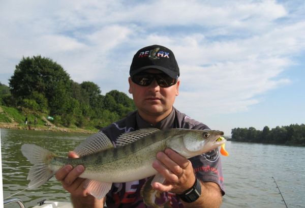 Силикон Relax KOPYTO 2" - BLS2 - Длина 5 см