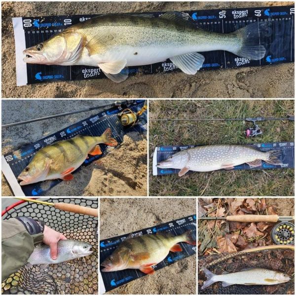 Силикон Relax KOPYTO 3" - 7.5 см - BLS3-H