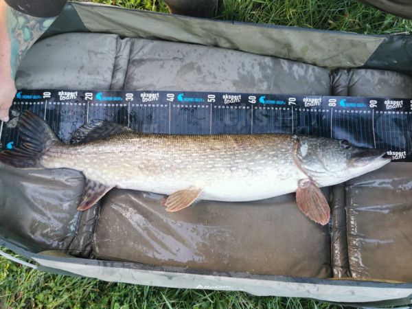 Силикон Relax KOPYTO 1" - 3,5 см - BLS1-TG