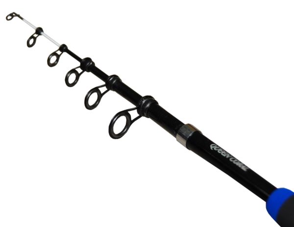 Спінінг Queen Coral - Attacker - Тест 10-30 г