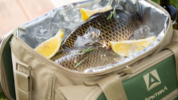 Сумка-холодильник з набором посуду Арктика - На 3 персони - Зелений - 13,5 л